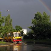 Ikarus 260.73A #6470