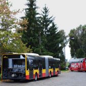 Solaris Urbino 18 #8565