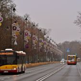Solaris Urbino 18 #8116