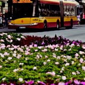 Solaris Urbino 18 #8868
