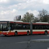 MAN NG313 #3383