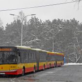 Solaris Urbino 18 #8311