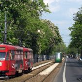 Konstal 13N #372+371