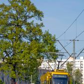 Konstal 116Na/1 #3010