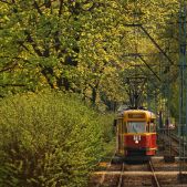 Konstal 13N #449+482