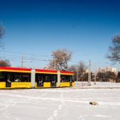Pesa 134N #3819