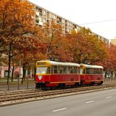 Konstal 13N #396+559