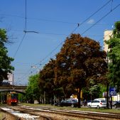 Konstal 105Na #1242+1241
