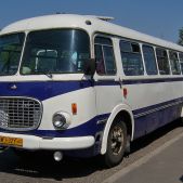 Jelcz 043 #8081