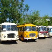 Jelcz 043 #D1 1353