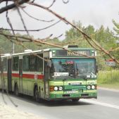 Scania CN113ALB #1343