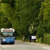 Scania CN113ALB #PE096
