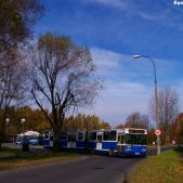 Scania CN113ALB #PE098