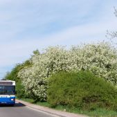 Scania CN113CLL #PS001