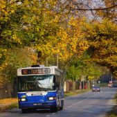 Scania CN113CLL #PS001