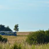 Scania CN113CLL #PS001