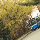 Scania CN113CLL #PS048