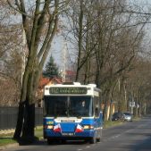 Scania CN113CLL #PS050