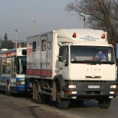Scania CN113CLL #PS001