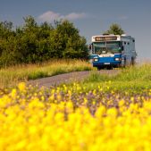 Scania CN113CLL #PS020