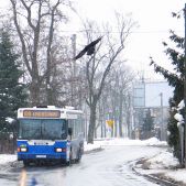 Scania CN113CLL #PS041