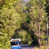 Scania CN113CLL #PS052