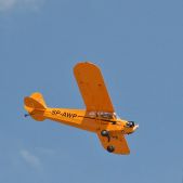Piper Cub - SP-AWP