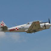 TS-8 Bies - SP-YSS-0921
