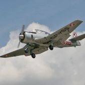 TS-8 Bies - SP-YSS-0921
