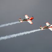 Extra 330SC #SP-TLS