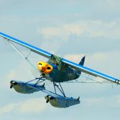 Piper PA-18-150 #D-ERNC