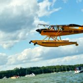 Aviat A-1C Husky #SP-DOG