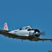 PZL TS-8 Bies #SP-YBD
