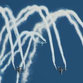 Midnight Hawks
