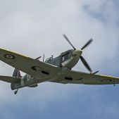Supermarine Spitfire #TE-184