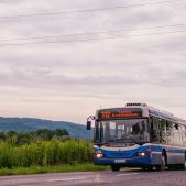 Scania CN94UA #PE193