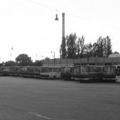 Ikarusy do kasacji