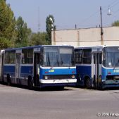 Ikarus 280.26 #DK288 i #34101
