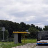 Solaris Urbino 12 #36