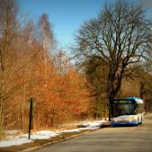 Solaris Urbino 12 #37