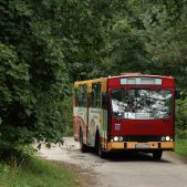 Jelcz M11 #31
