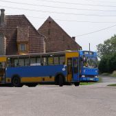 Jelcz L11 #51