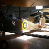 De Havilland Tiger Moth MK.II T-8209