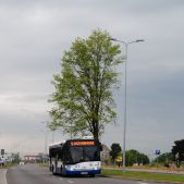 Solaris Urbino 12 #177