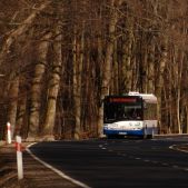 Solaris Urbino 12 #175