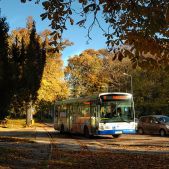 Solbus SN11 #161