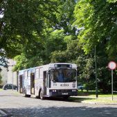 Jelcz 120M #141
