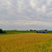 Scania CN94UB #PS147