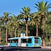 Irisbus Citybus Articulated #490