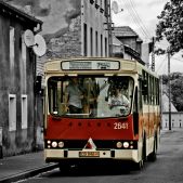 Jelcz M11 #2641